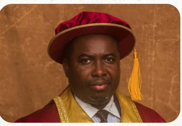 INEC Can’t Be Truly Independent Without Control Over Its Own Funding — Amupitan