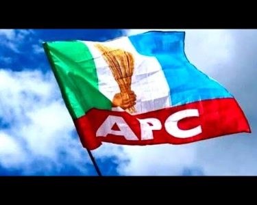 APC Flag