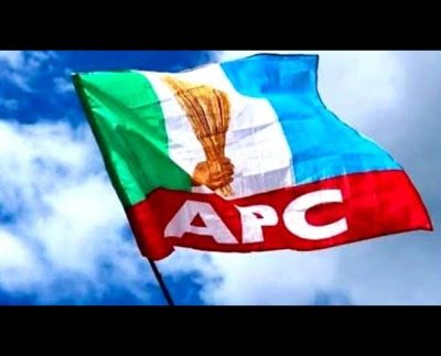 APC Flag