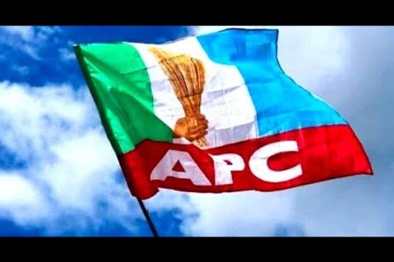 APC Flag