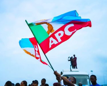 APC Flag