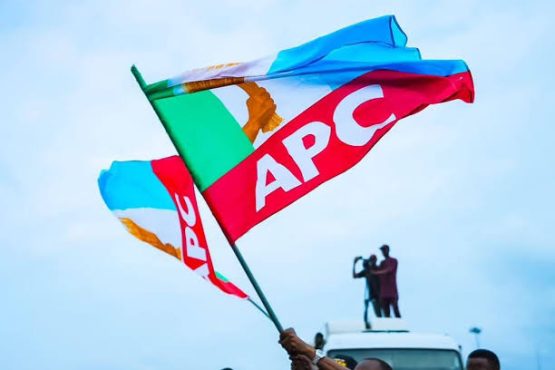 APC Flag