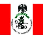Ndlea Logo