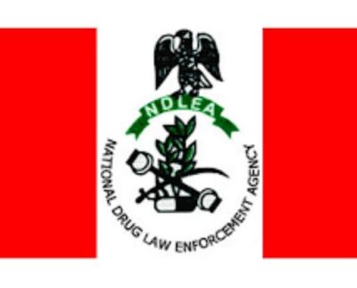 Ndlea Logo