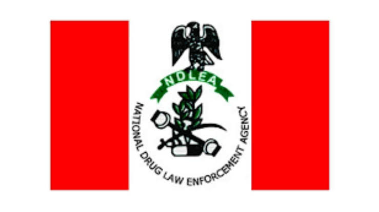 NDLEA Nabs Italy-Based Businessman Over 98 Ingested Cocaine Wraps at Enugu Airport, Reports Multiple Seizures Nationwide