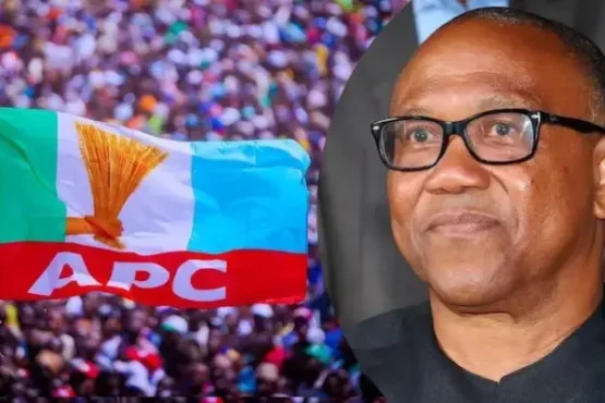 Apc And Obi