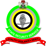 Dss Logo